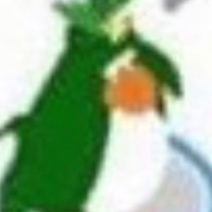 Meet your Posher, Tomas